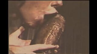 Retro Pornostalgia, Vintage Interracial Sex